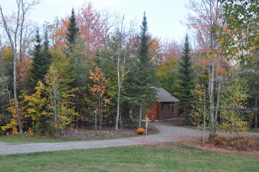 فندق Muddy Moose Morrisville المظهر الخارجي الصورة